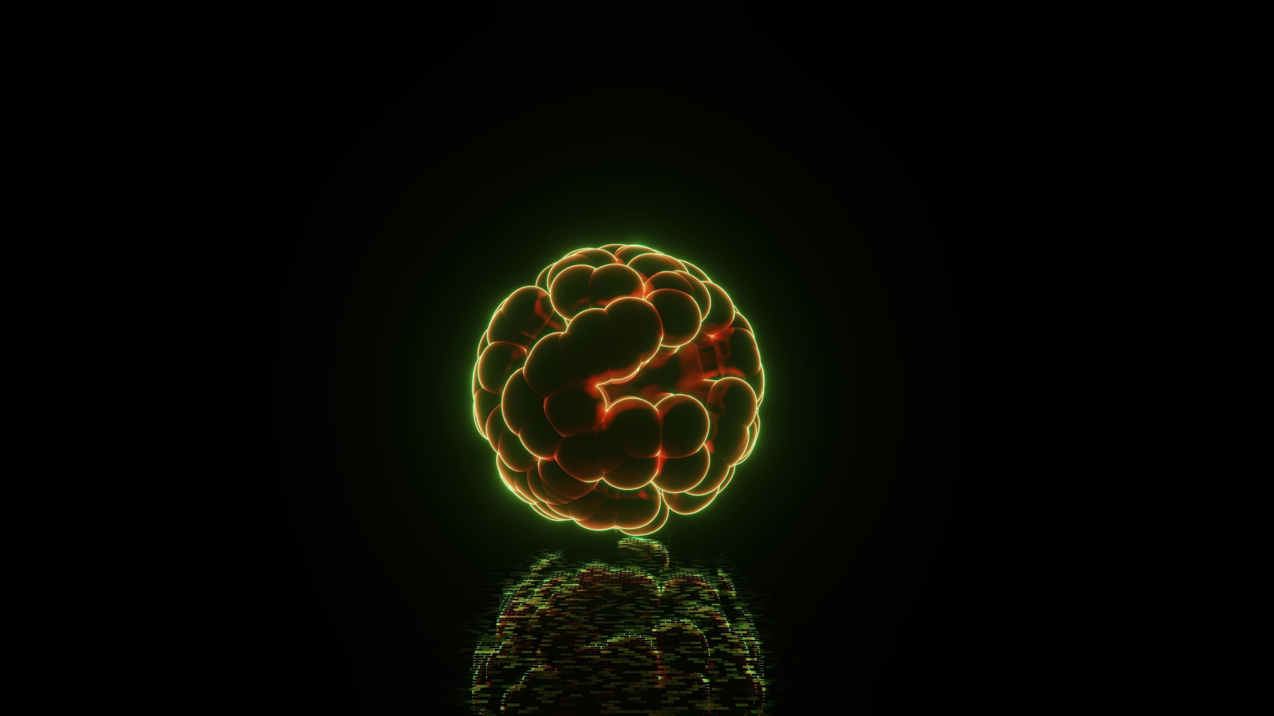 The Boltzmann Brain Paradox